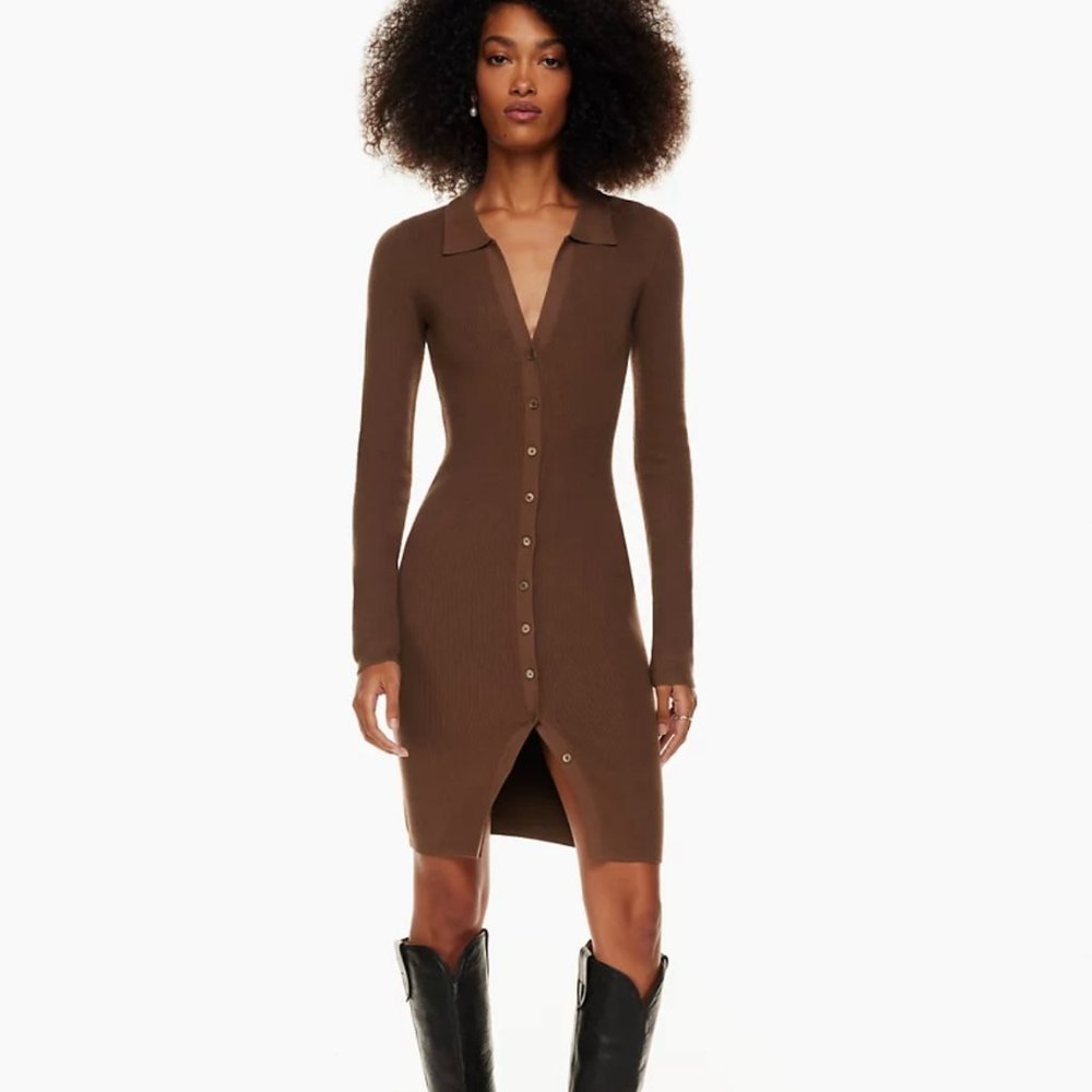 Wilfred Cove Dress Button-up sweater dress SIZE LARGE